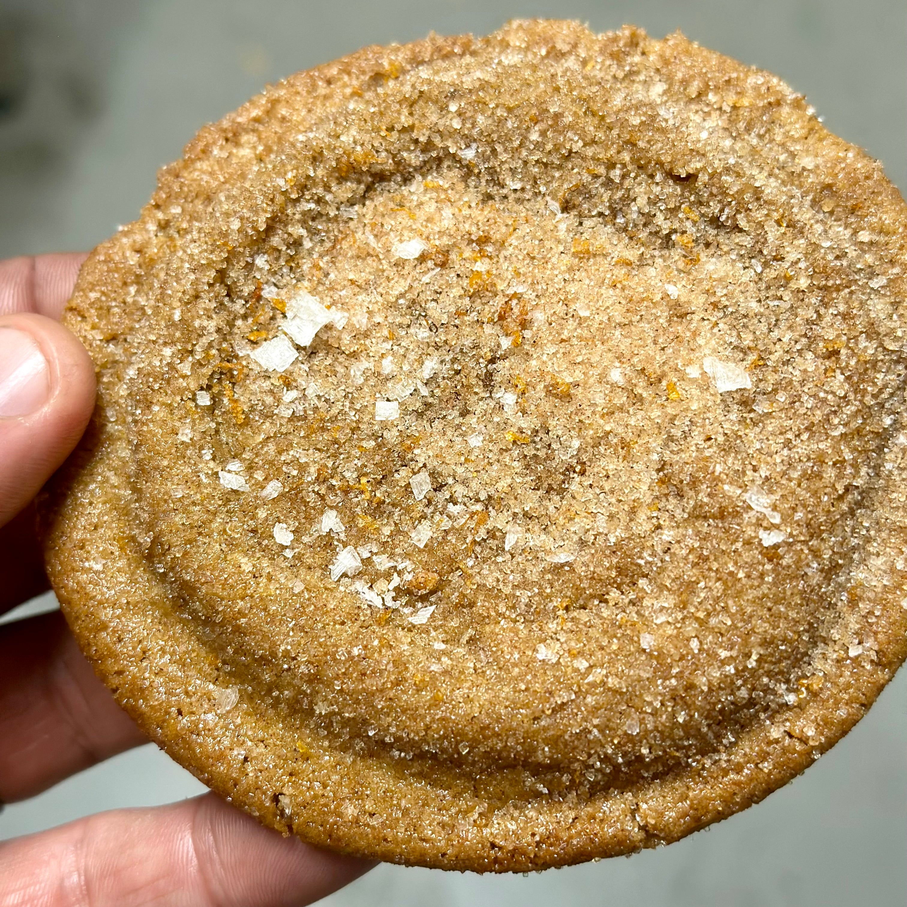 Best cookies in san diego, best cookies la jolla, orange blossom snickerdoodle, best snickerdoodle, cinnamon cookies, cinnamon rolls, perfect cookies, holiday cookies, best cookies carlsbad, best cookies encinitas, best cookies rancho santa fe, best cookies del mar, best cookies solana beach, 